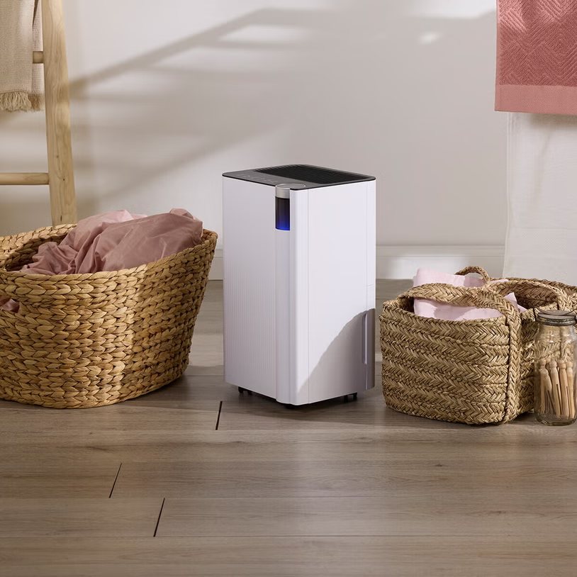 Dehumidifier