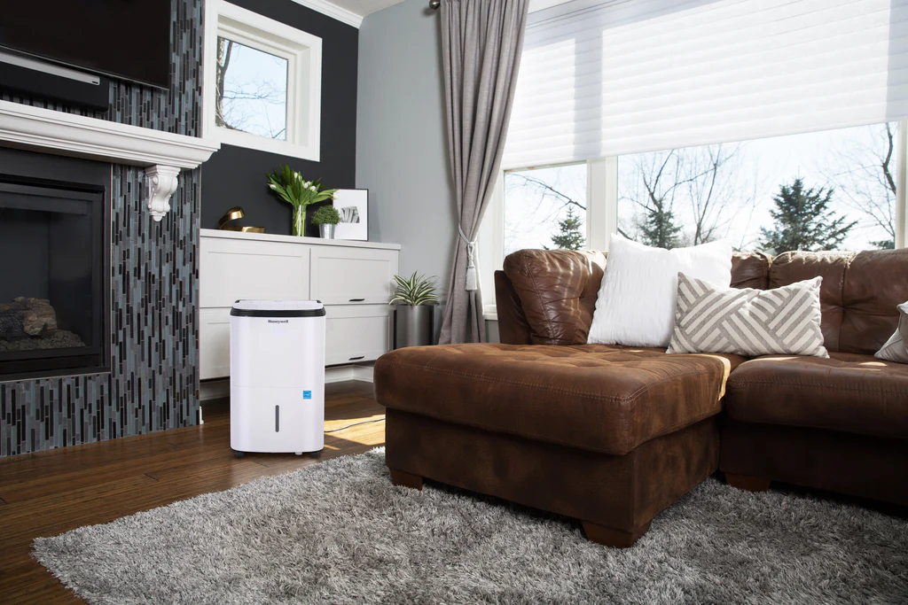 Right Spot for Your Dehumidifier